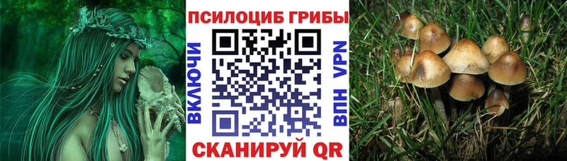 Псилоцибиновые грибы MAGIC MUSHROOMS  где купить   Самара 